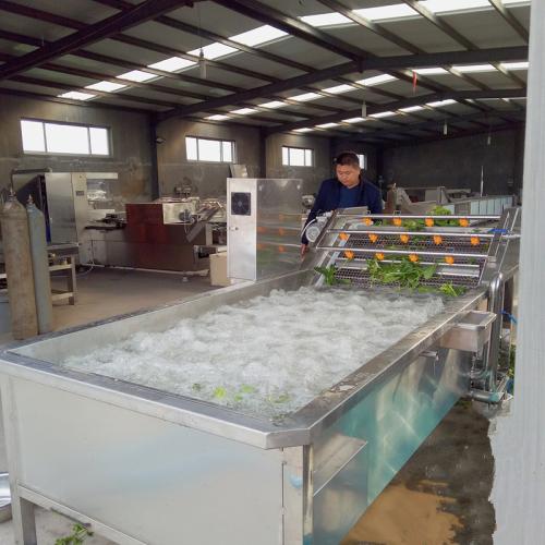 洗菜機(jī)